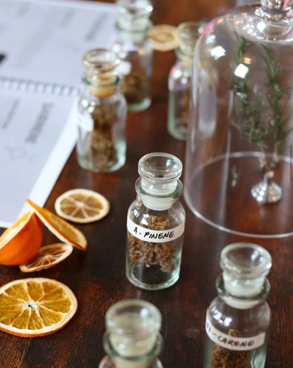 Terpene samples on display at Whakamana Cannabis Museum, Auckland